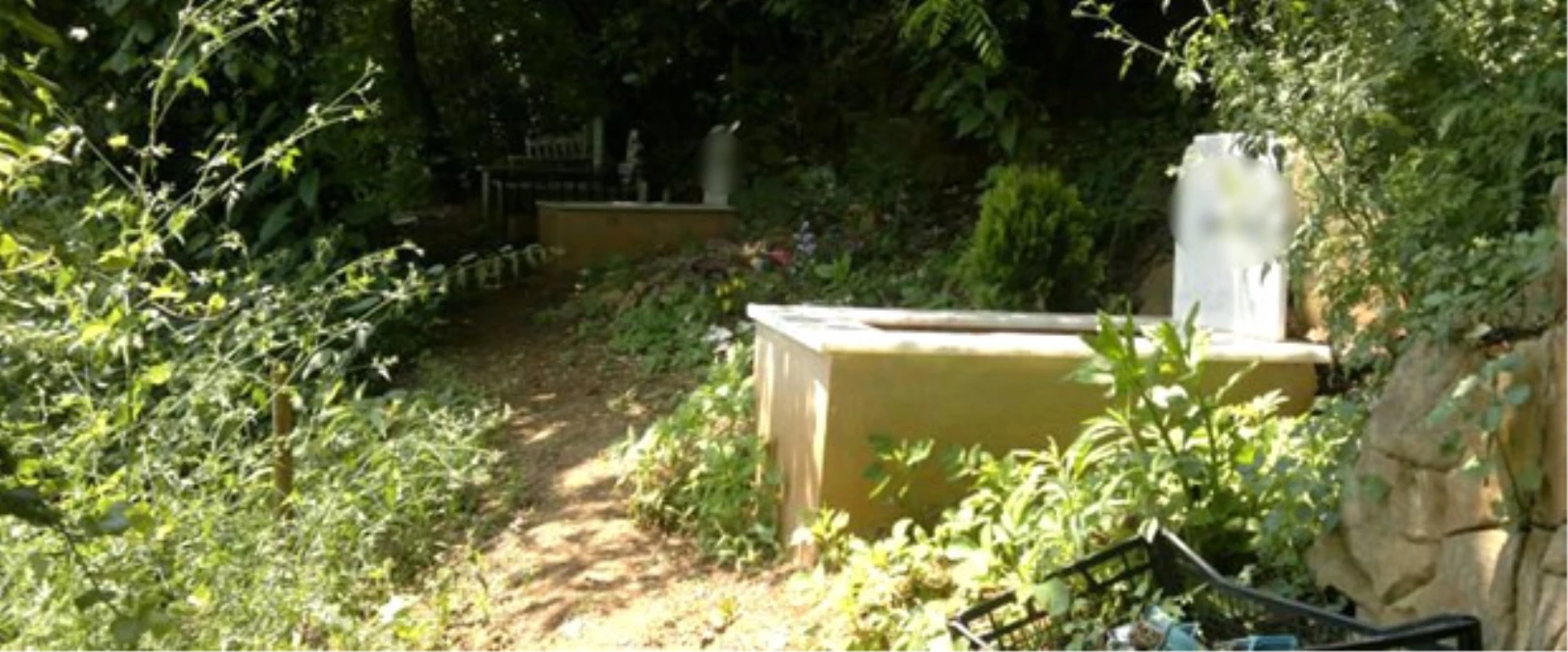 Ölen Kedilerini Aile Mezarlığına Gömdüler