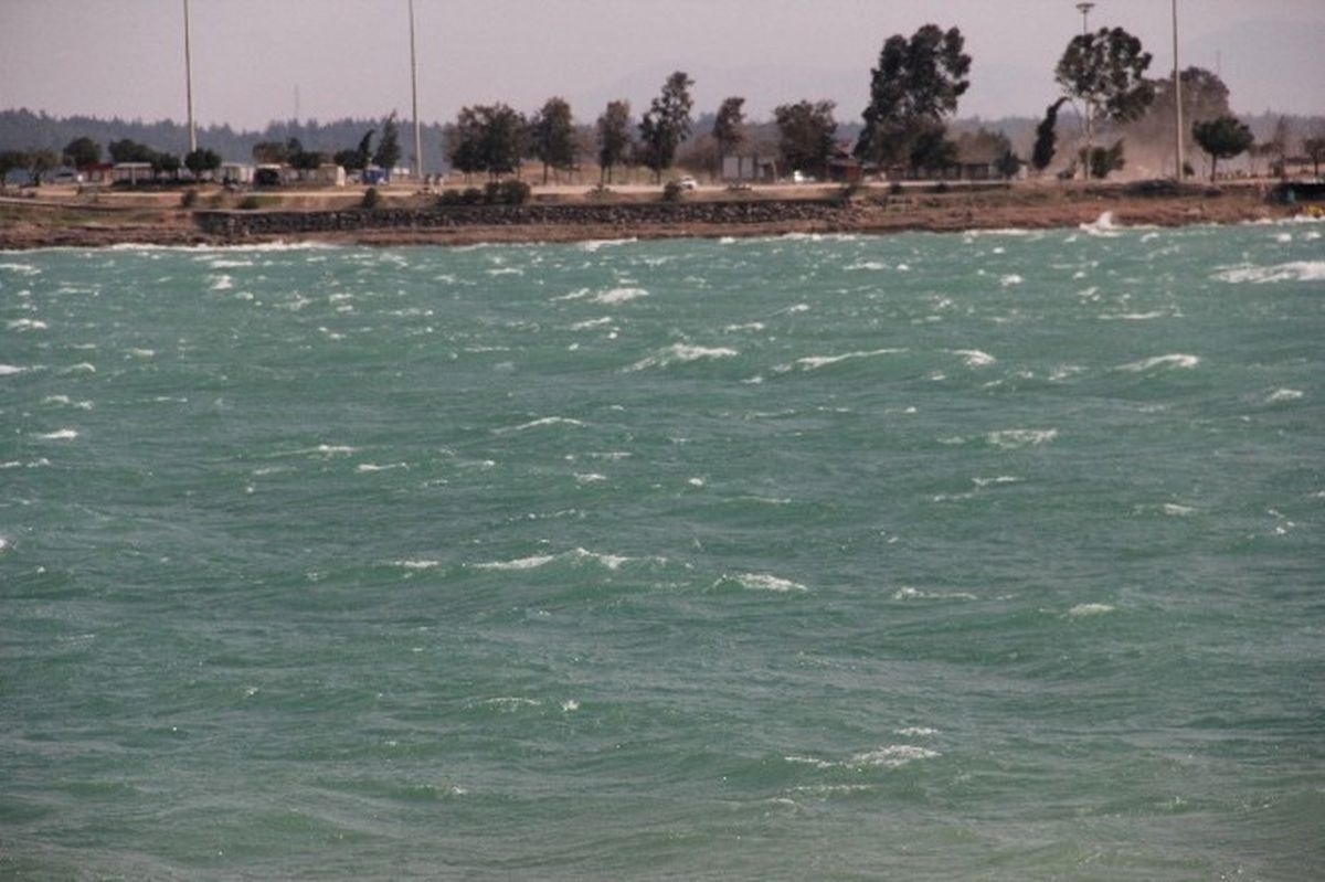 Adana\'da Rüzgar Ağaçları Kökünden Söktü
