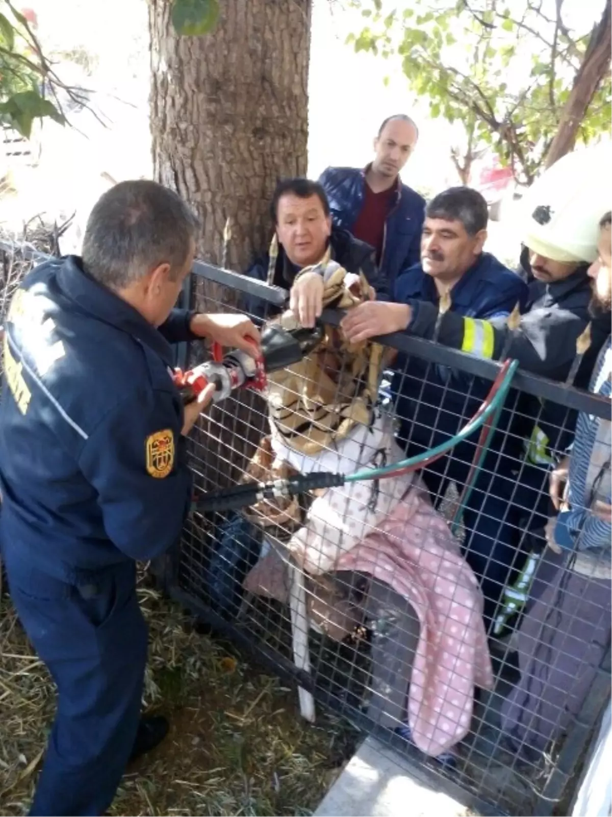 Balkondan Korkuluğa Düşen Kadını İtfaiye Kurtardı