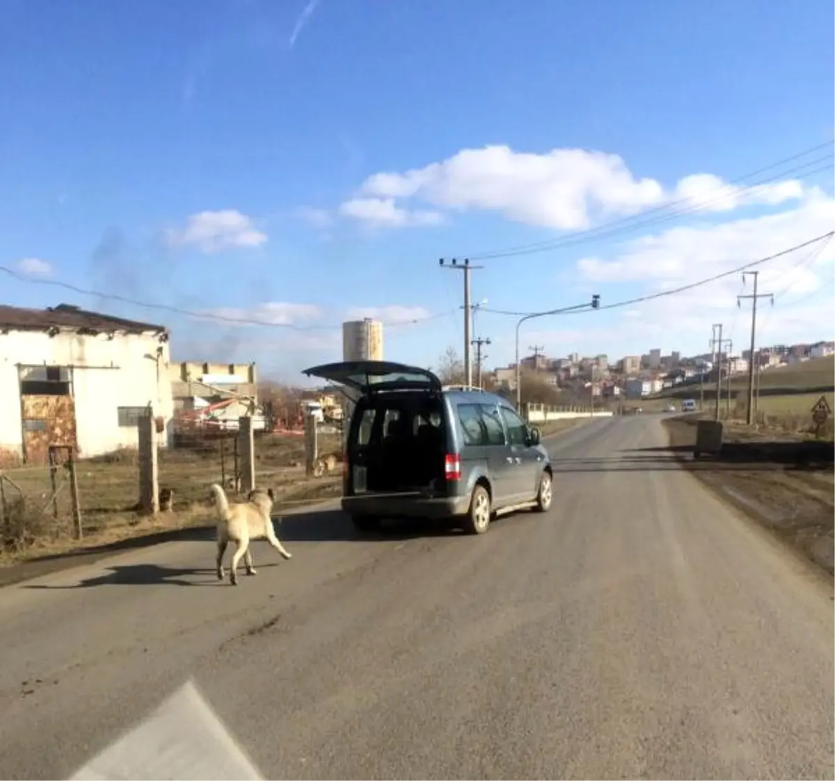 Çorlu\'da Arabaya Bağlanan Köpek Çekilerek Götürüldü