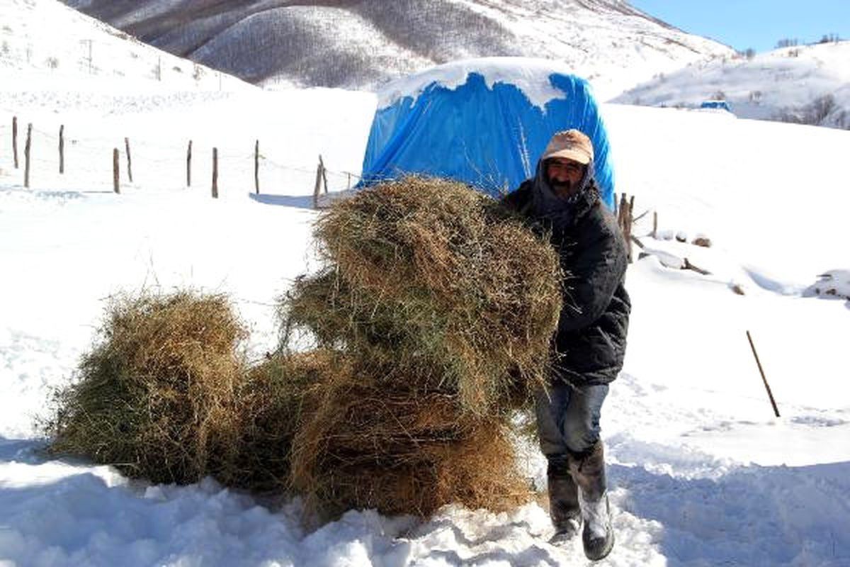 Dha Yurt Bülteni-5