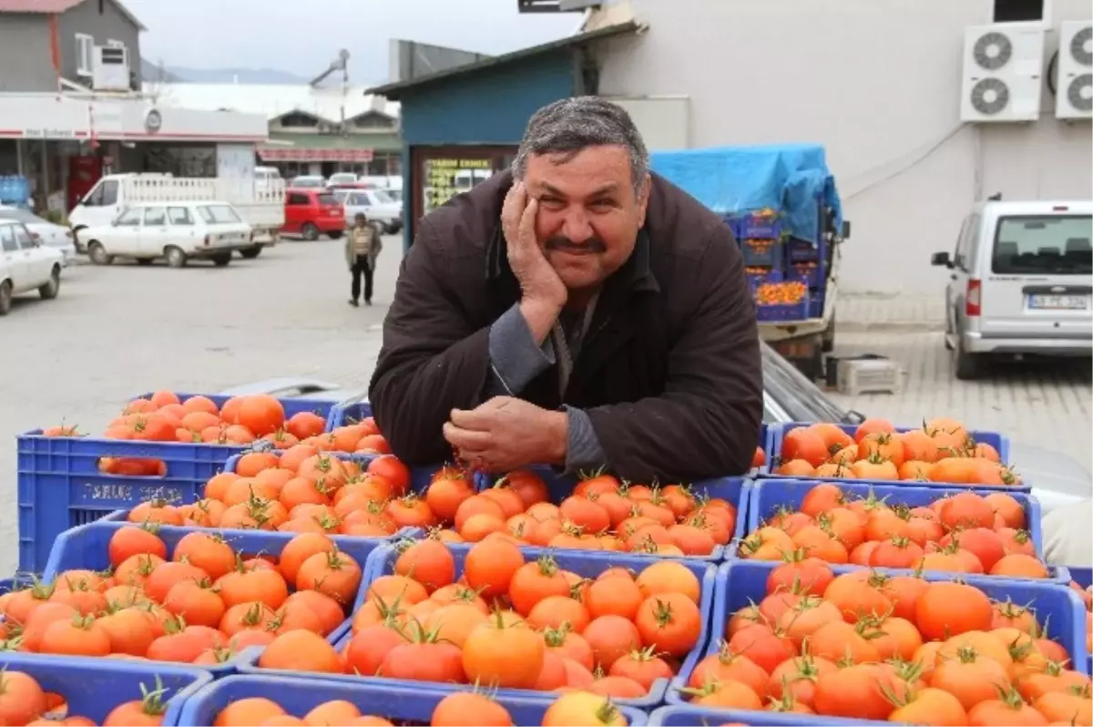 Domates Üreticileri Zor Günler Geçiyor