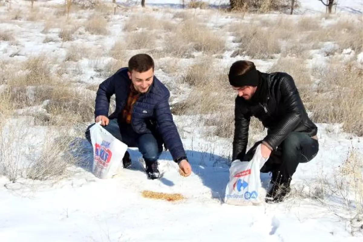 Erzincan\'da Yaban Hayata Destek