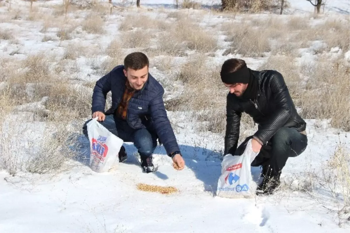 Kyk\'lı Gençlerden Hayvanlara Yem