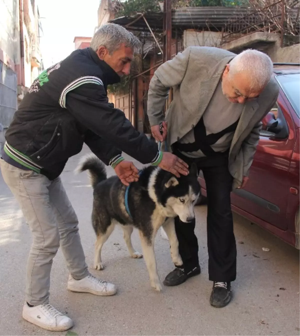 Bulunan Köpek Kendi Köpeği Çıkmayınca Hayal Kırıklığına Uğradı