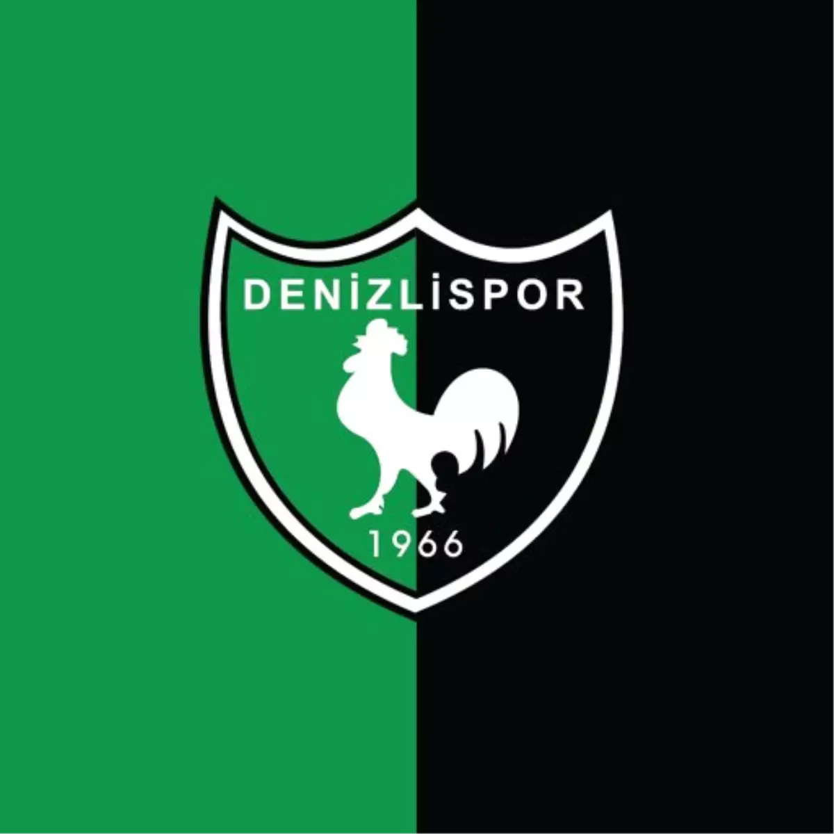 Denizlispor İç Transfere Yönelecek