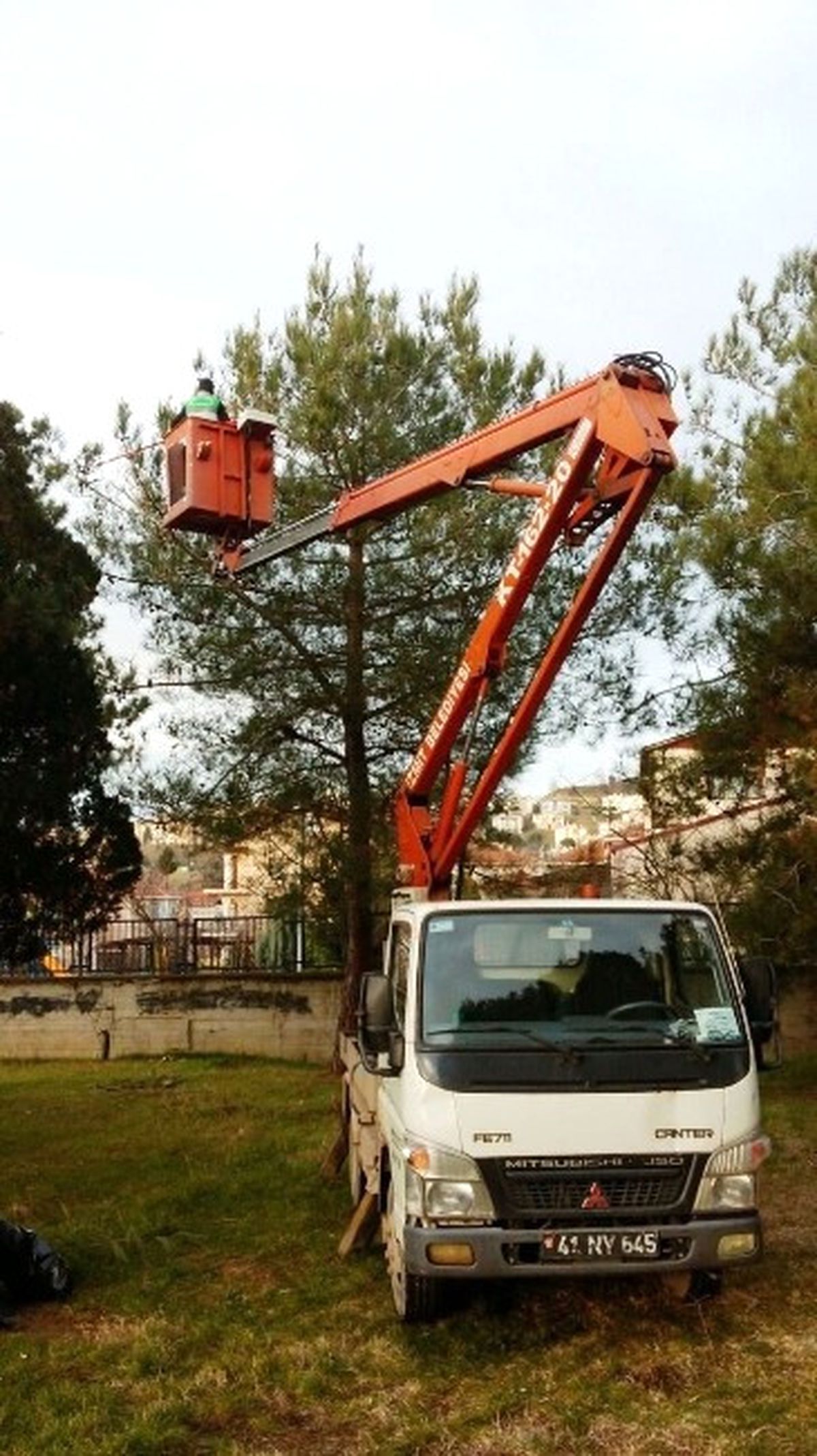İzmit\'te Yeşil Alanlar Budanıyor
