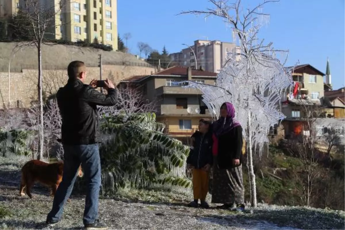 İzmit\'teki Ağaçlar Buz Tuttu