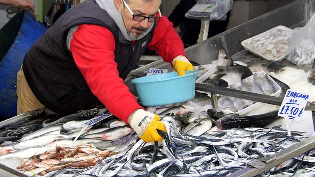 Kar Yağışı Balık Fiyatlarını Yükseltti