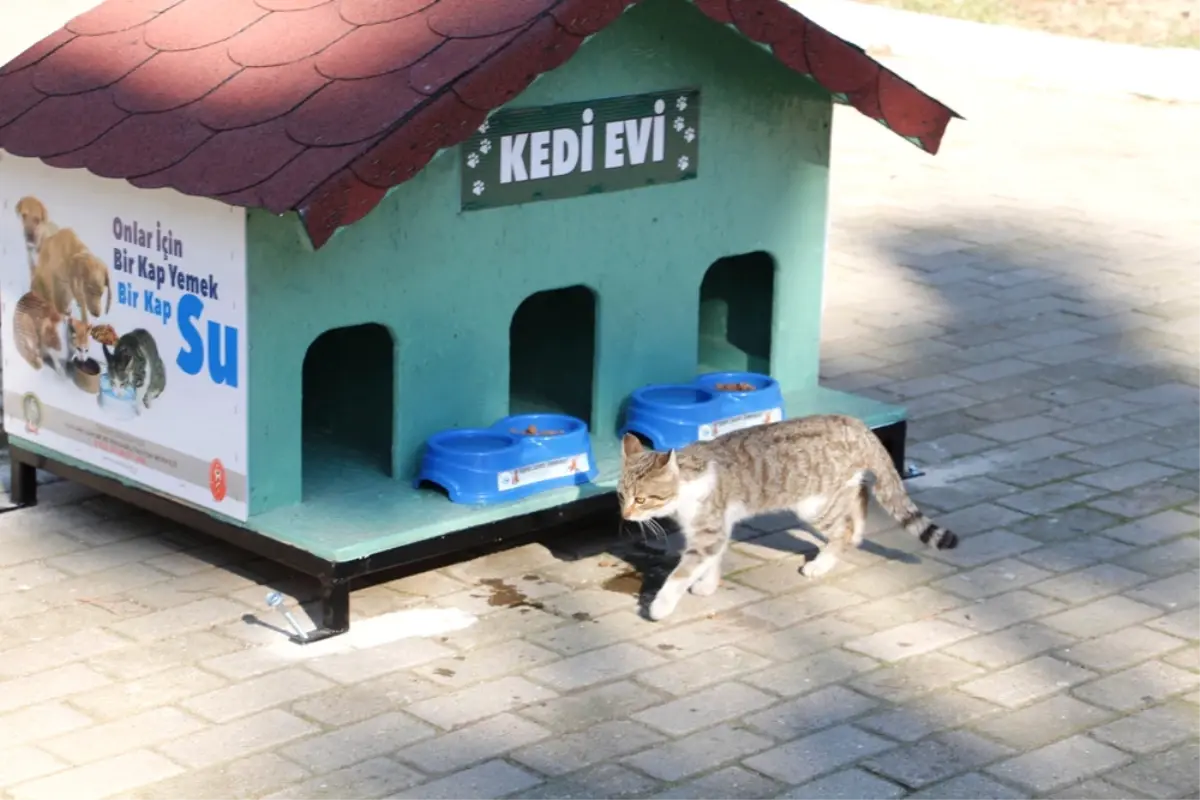 Ödemiş Belediyesi "Kedi Evleri" monte ediyor