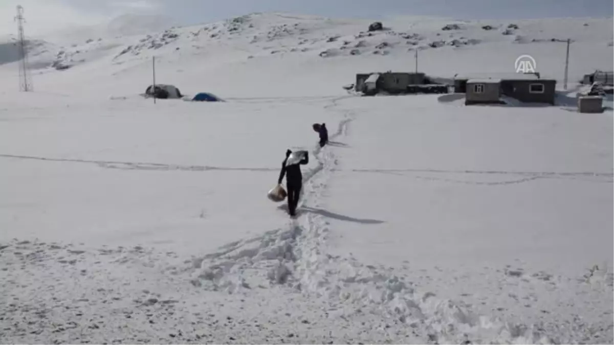 Tendürek Dağındaki Köylerde Evler Kar Altında Kaldı