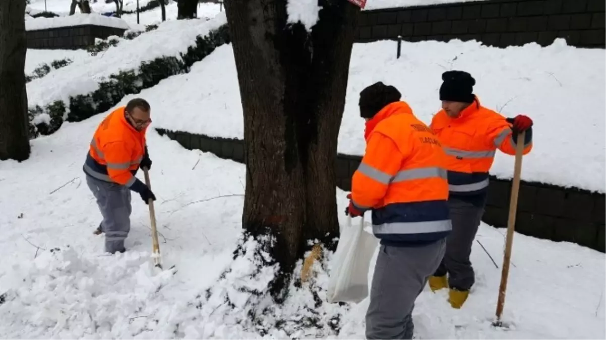 Trabzon\'da Hayvanlar İçin Yemleme İstasyonları Oluşturuldu