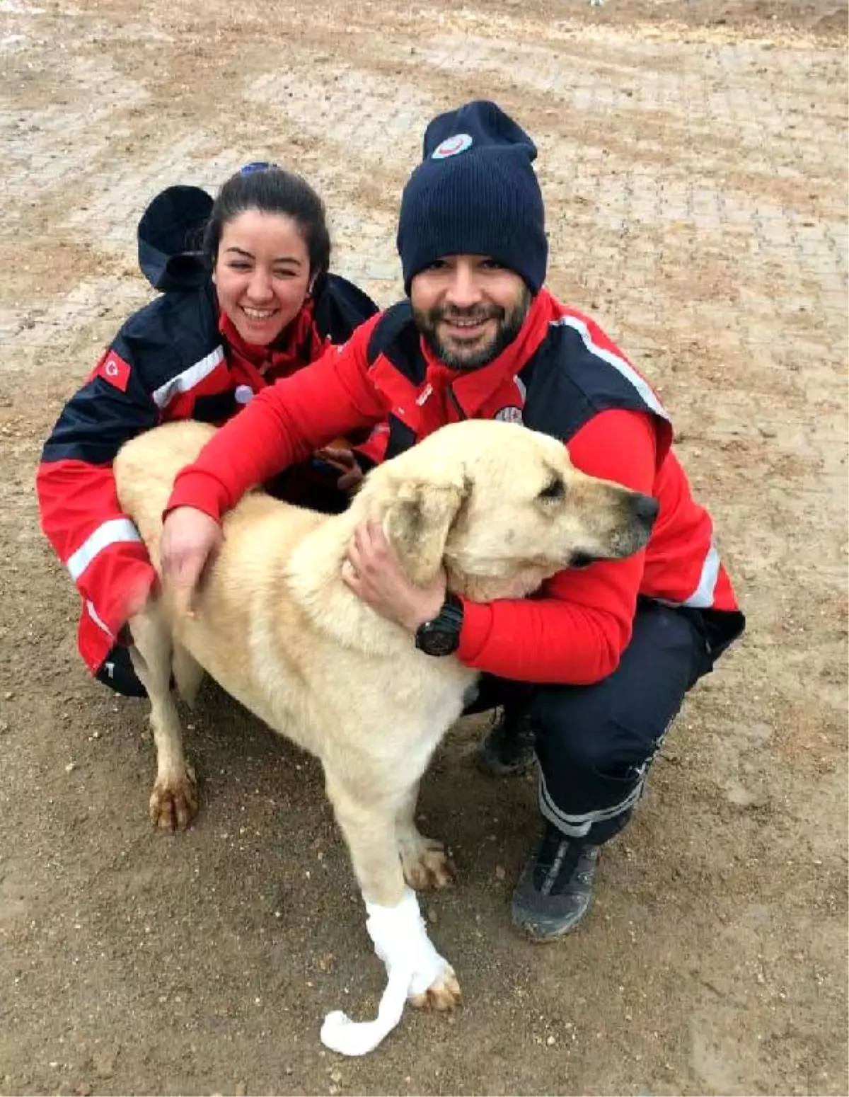 Umke Ekibi, Şarapnel Parçası ile Yaralanan Köpeği Tedavi Etti