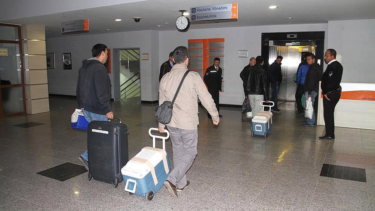 Beyin Ölümü Gerçekleşen Kadının Organları 6 Kişiye Umut Oldu