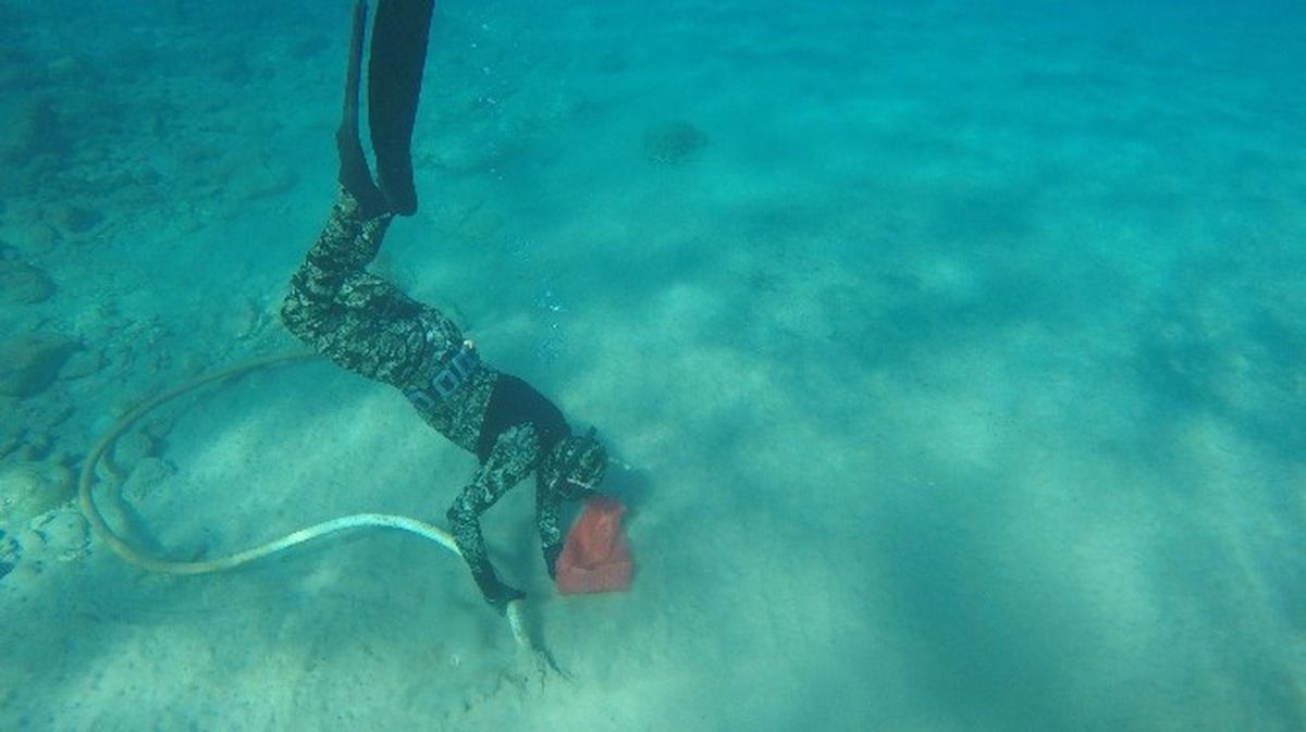 Bodrum\'da Deniz Dibi Temizliği