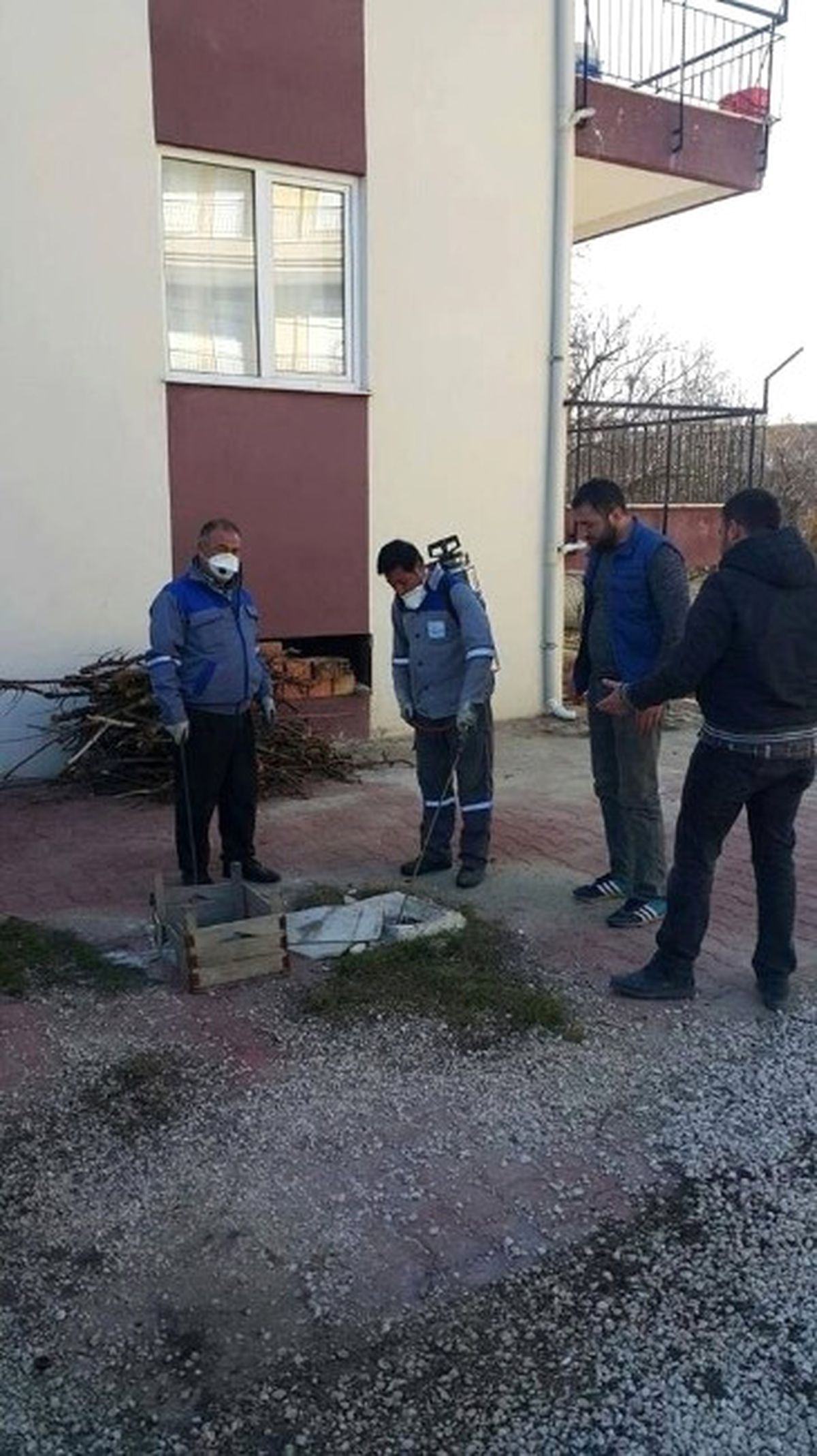 Korkuteli İlçesi\'nde Sinekle Mücadele Çalışması Başladı