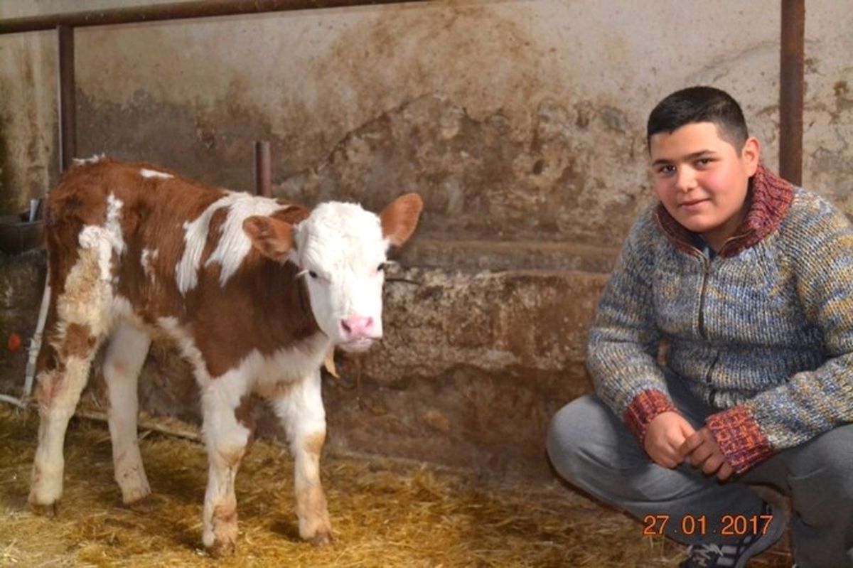Kütahya\'da 146 Aileye Süt Sığırcılığı Kredi Katkısı
