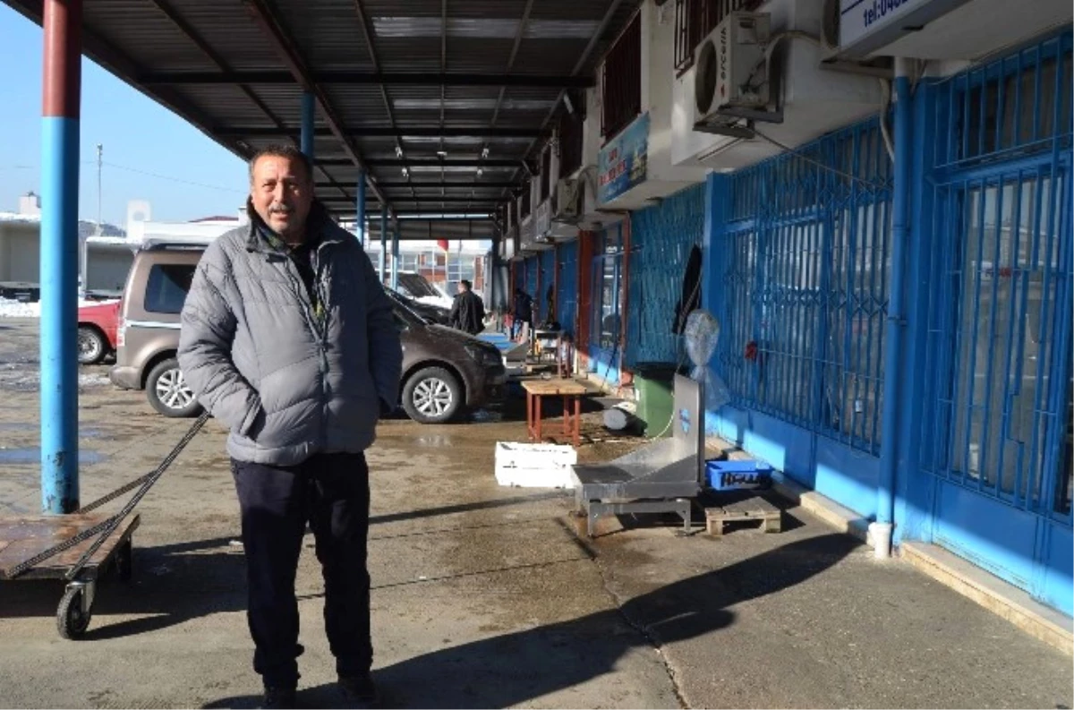 Trabzon Toptancı Balık Hali 20 Yılın En Verimsiz Gününü Yaşadı