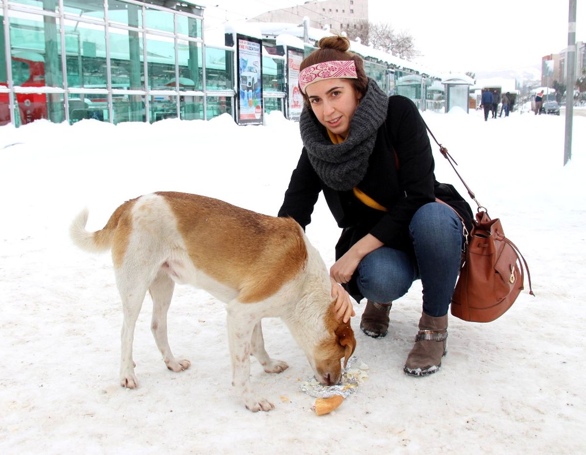 Yemeğini Açlıktan Bitkin Düşen Köpeğe Verdi