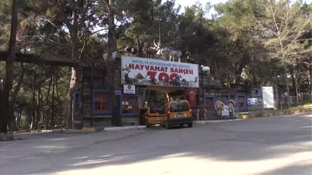 Asya, Afrika, Avrupa" Yeni Yuvalarında - Antalya