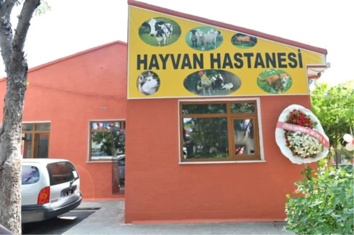 Hayvan Hastanesi Hizmete Açıldı