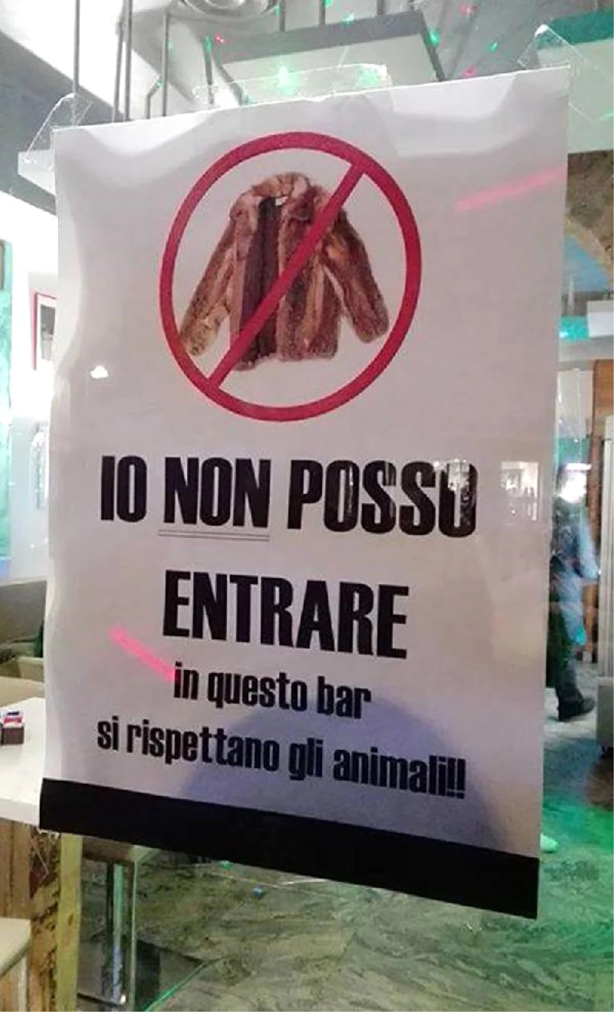 İtalya\'da Bir Kafeteryaya Gerçek Kürk Giyen Müşterilerin Girişi Yasaklandı