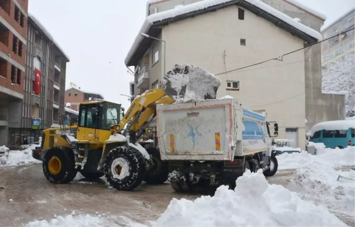 Niksar\'da Karla Mücadelenin Bedeli 300 Bin Tl