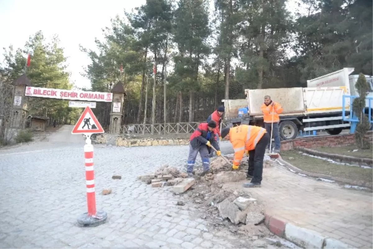 Park ve Bahçeler Müdürlüğü Ekiplerinin Çalışmaları