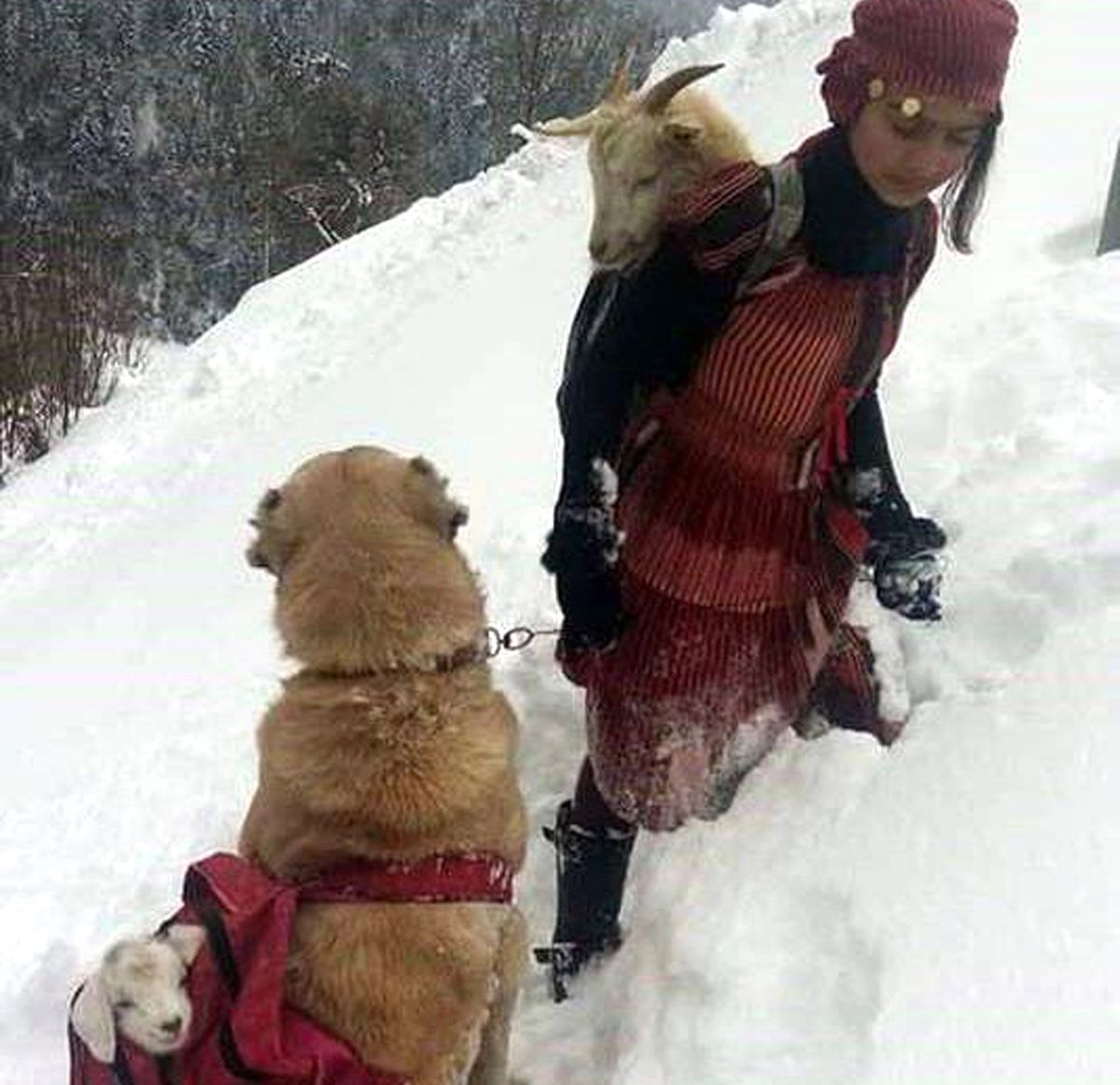 Rizeli Heidi Yaşadıklarını Anlattı