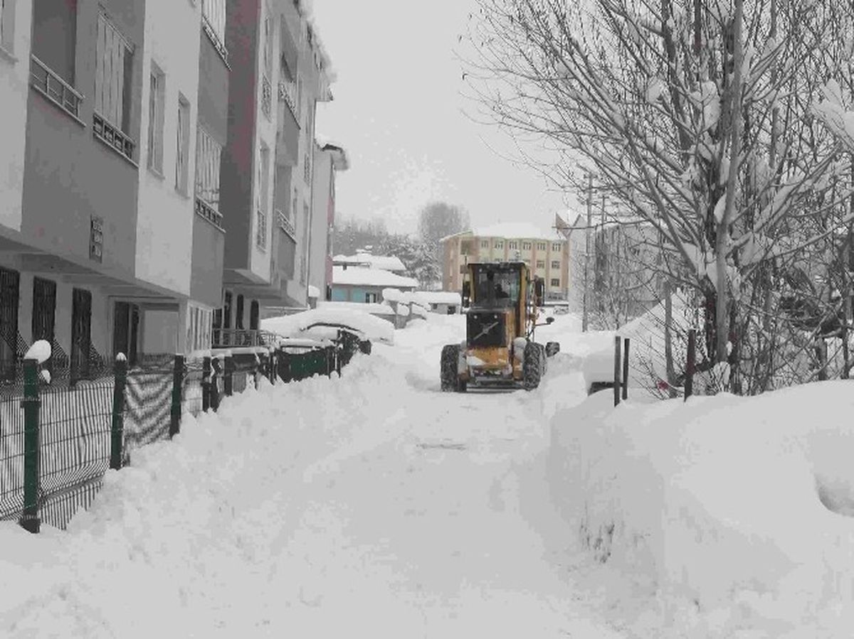 Varto\'da Kar Temizleme Çalışması