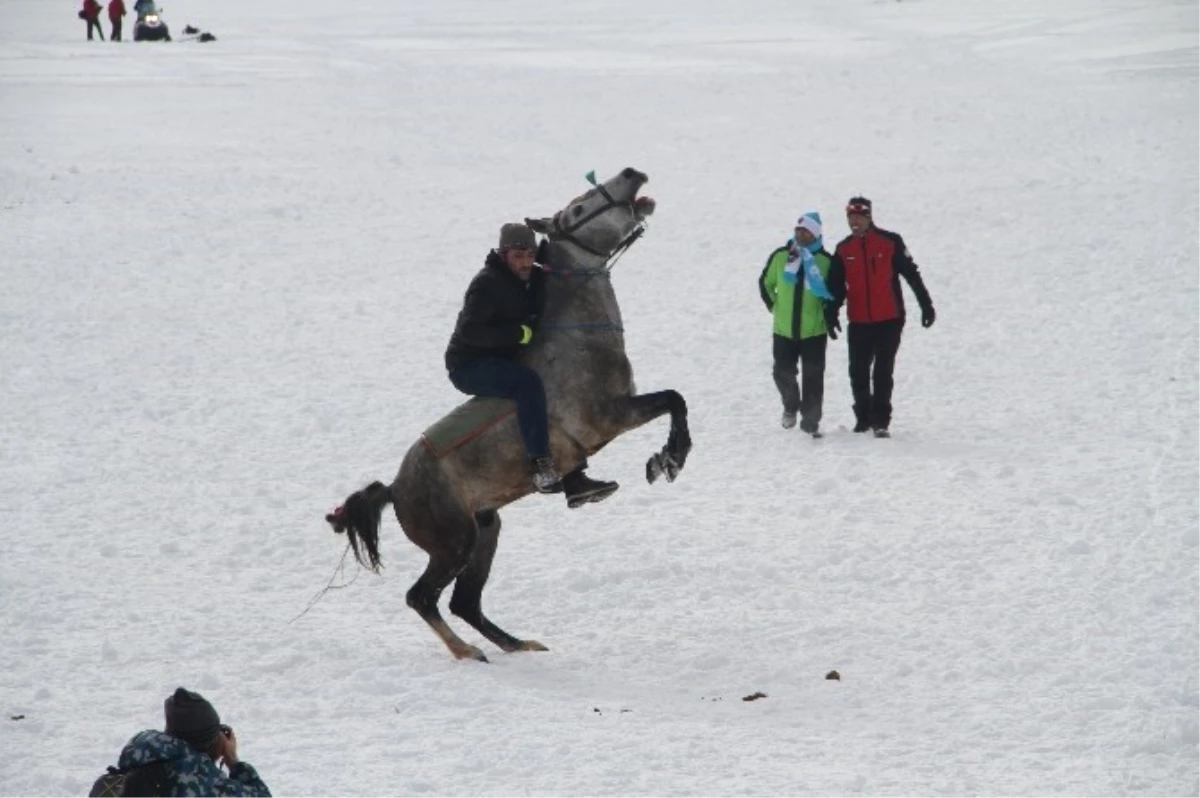 Buz Tutan Çıldır Gölü\'nde Altın At Şahlandı