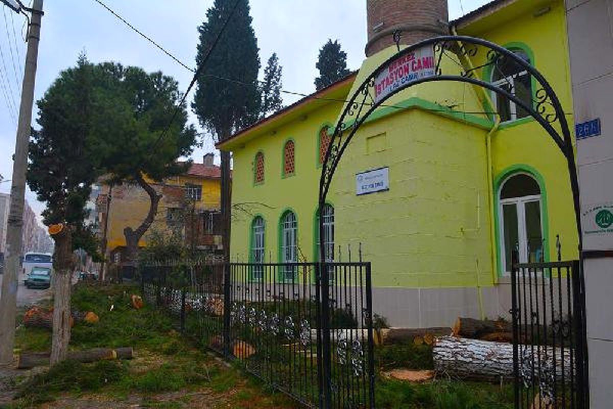 Cami Bahçesindeki Ağaç Kesimine Tepki