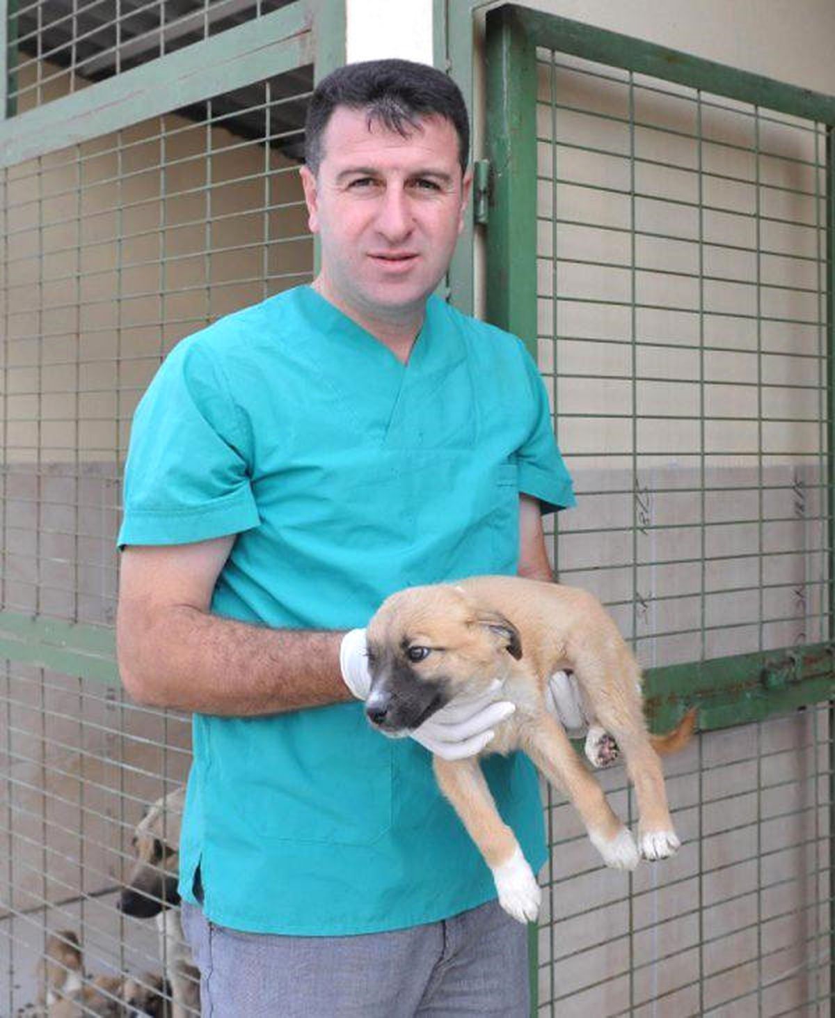 Fetö Sanığı Veterinere 5 Yıl Hapis Cezası