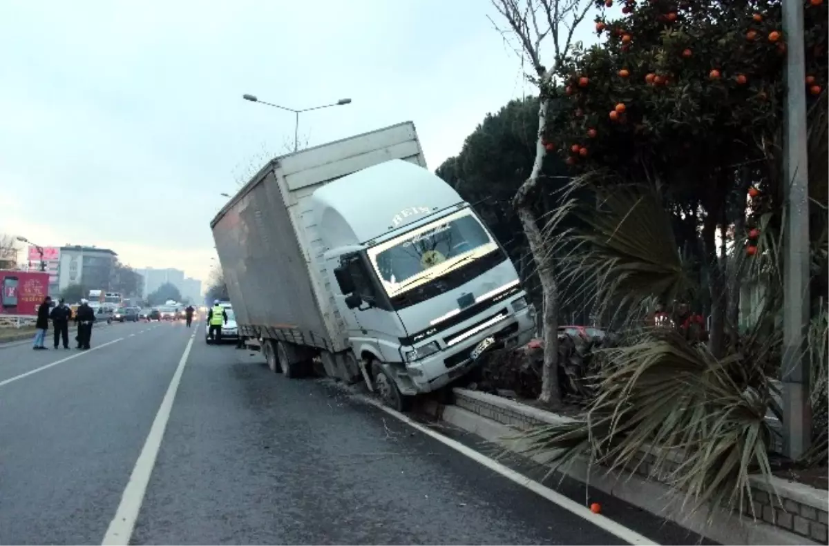 Kontrolden Çıkan Kamyon Refüjde Sürüklenerek Ağaçları Devirdi