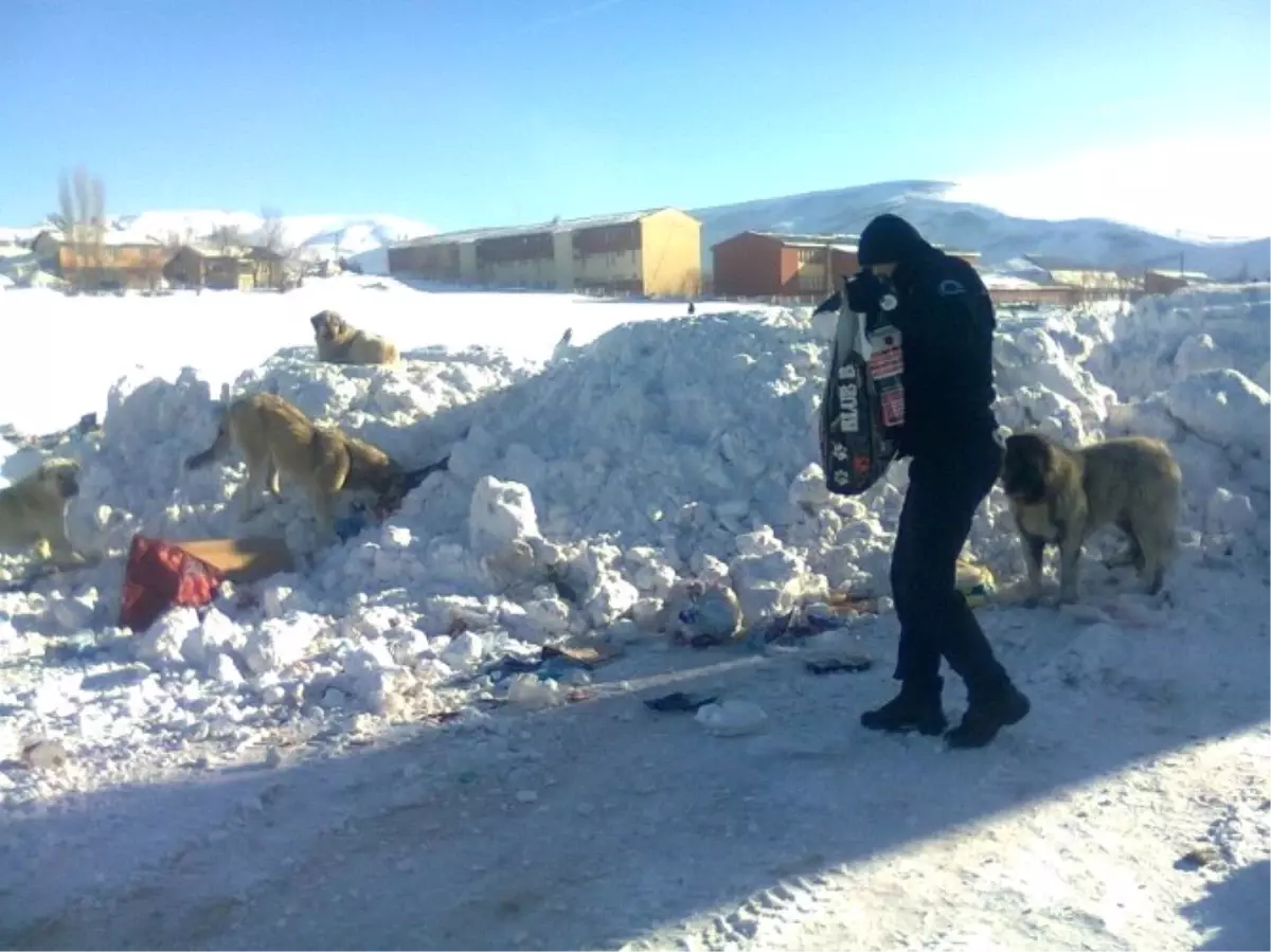 Polis Sokak Köpeklerini Doyurdu