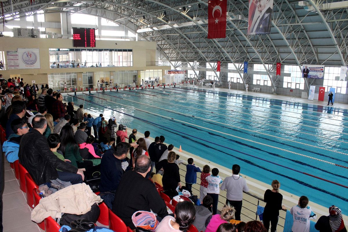Analig Yüzme Grup Yarışmaları