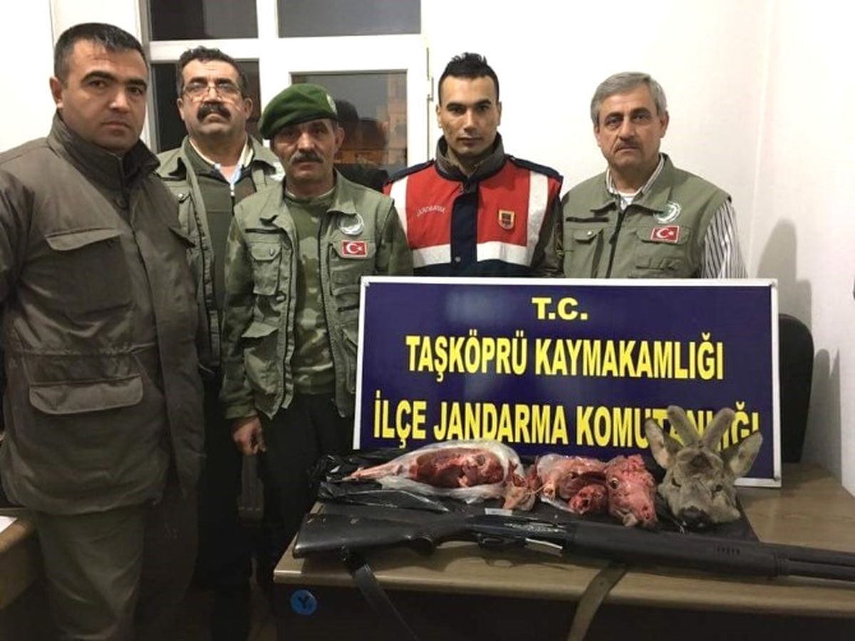 Karaca Avlayan Avcılara 13 Bin TL Ceza
