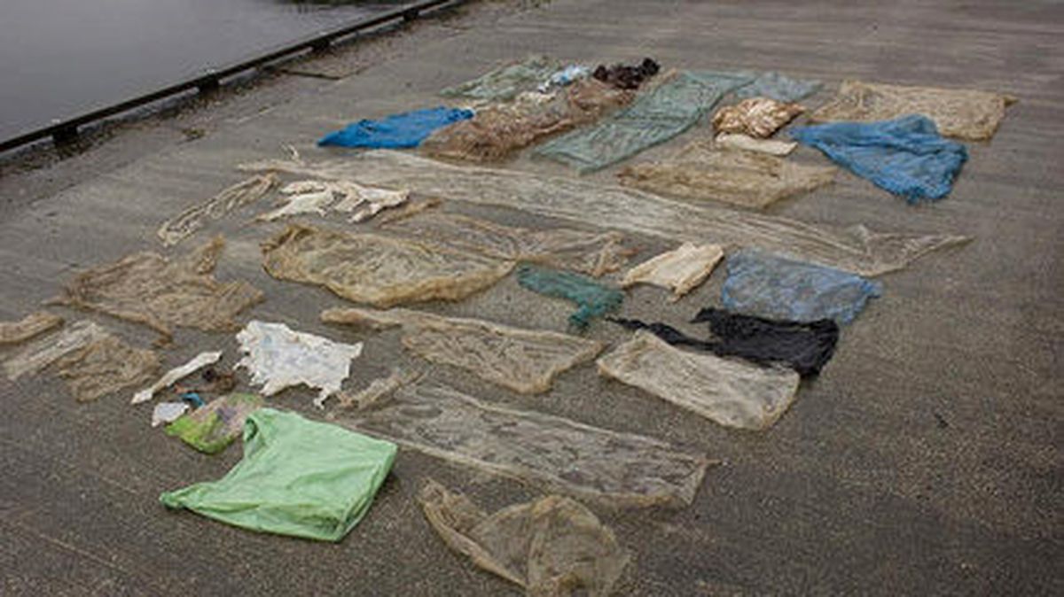 Karaya Vuran Balinanın Midesinden 30 Plastik Torba Çıktı