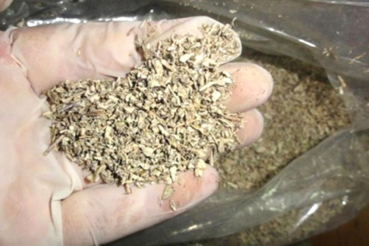 Tosya\'da Kriz Geçiren Gencin Üstünde Uyuşturucu Çıktı