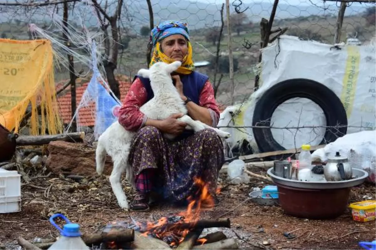 Ayvacık Açıklarında 5.5\'lik Deprem; 4 Kişi Yaralandı, Evler Hasar Gördü -yeniden