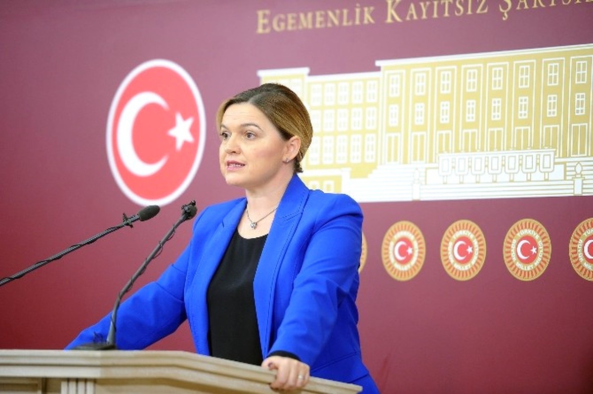 CHP Genel Başkan Yardımcısı Böke\'den Varlık Fonu Eleştirisi