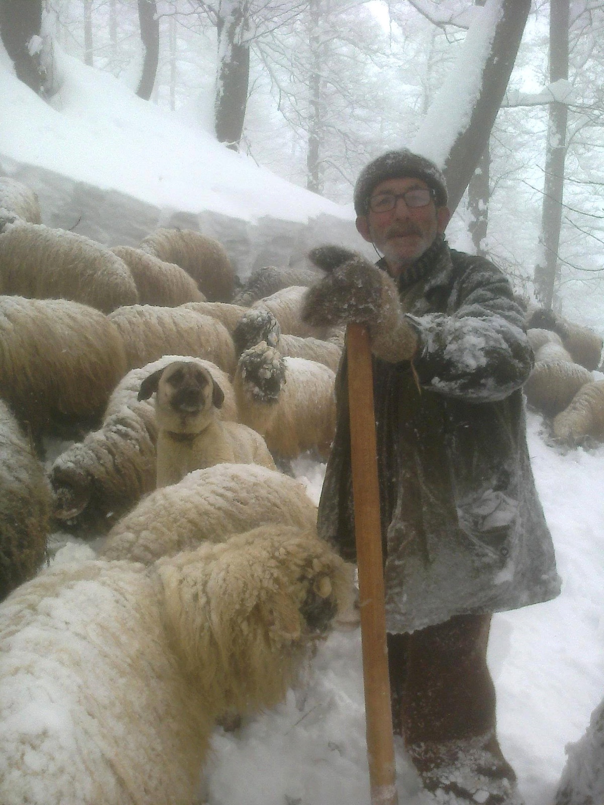 Karadeniz Ailesinin Doğayla Mücadelesi