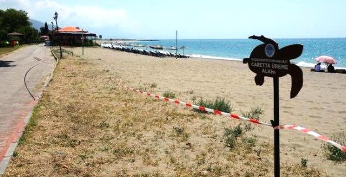 Mersin\'de Caretta Carettaların Yuvalama Alanı Temizlendi