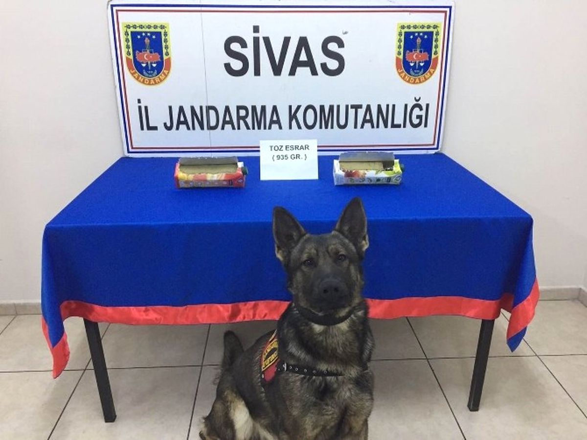 Meyve Suyu Kutuları İçerisinde Esrar Yakalandı