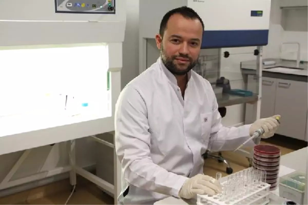 Sepsis Hastalığında Tedaviye Geç Kalmak Ölüm Riskini Her Saat Yüzde 5 Artırıyor