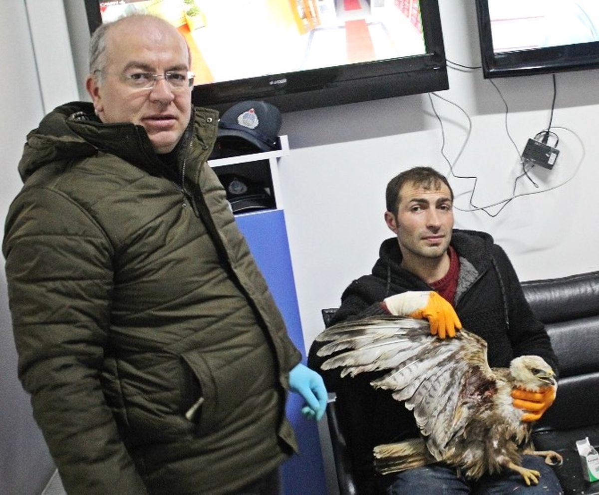Yaralı Doğana Sahip Çıktılar