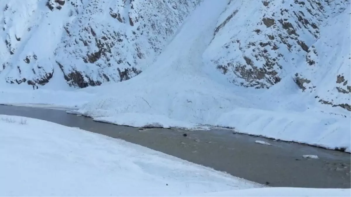 Hakkari\'de 15 Çığ Temizlendi