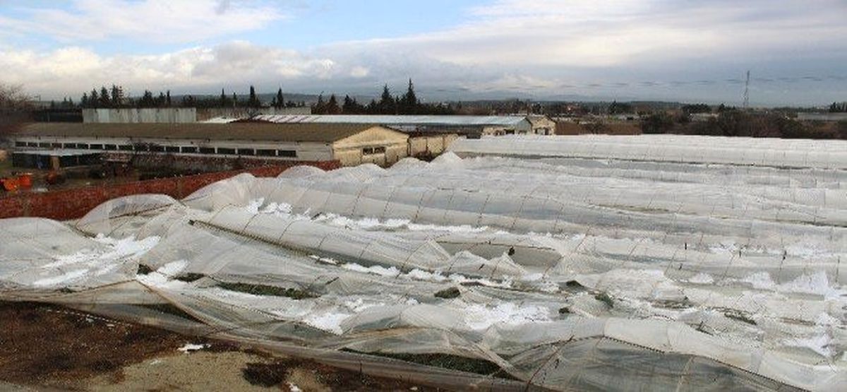 Körfez\'de Kar Yağışı Seralara Zarar Verdi
