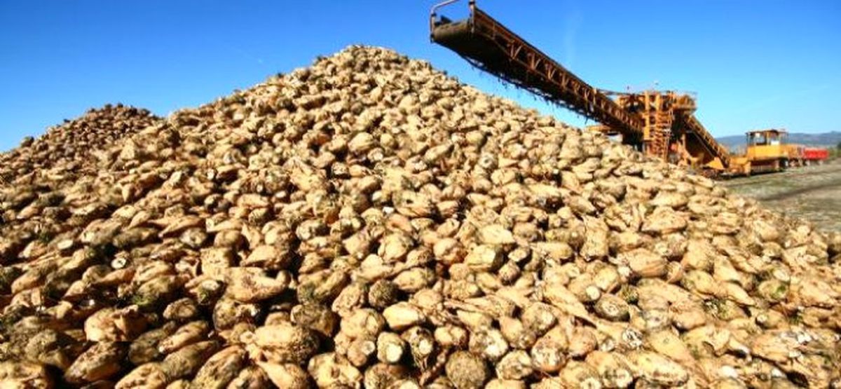 Malatyalı Çiftçilere Yapılacak Pancar Ödemeleri