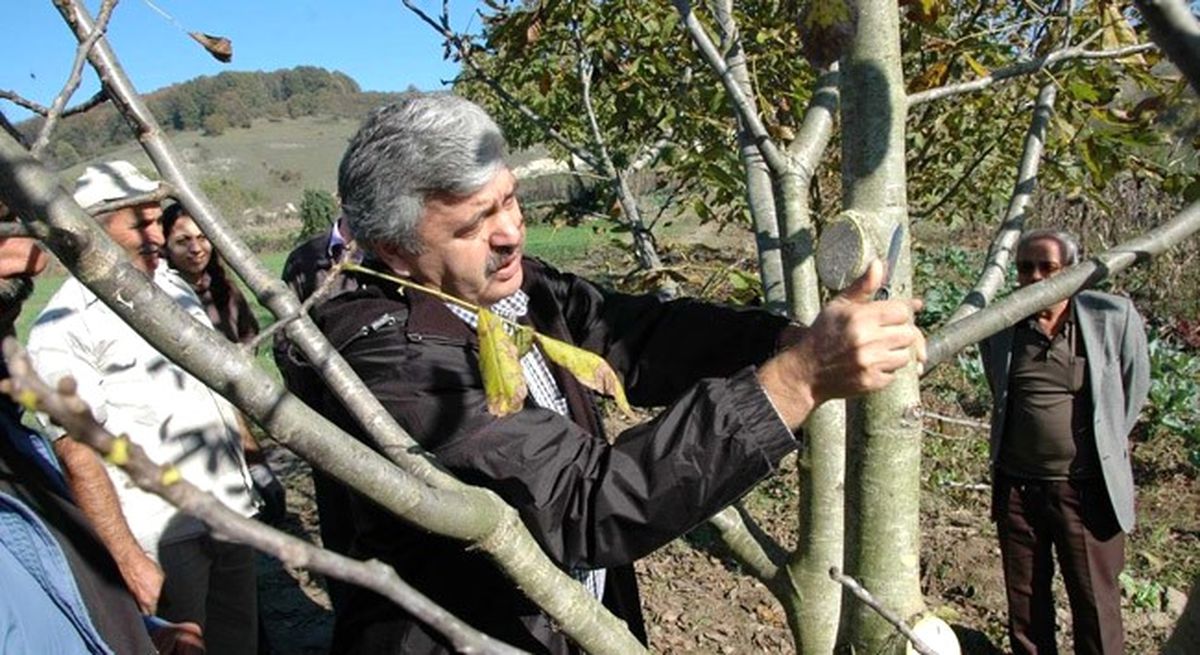 Üreticiye \'Budama\' Uyarısı